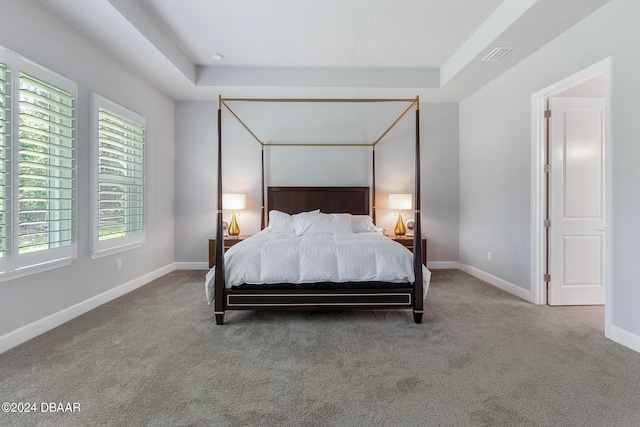 bedroom with a tray ceiling and carpet floors