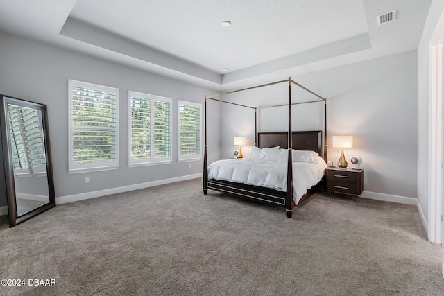 bedroom with carpet floors and a raised ceiling