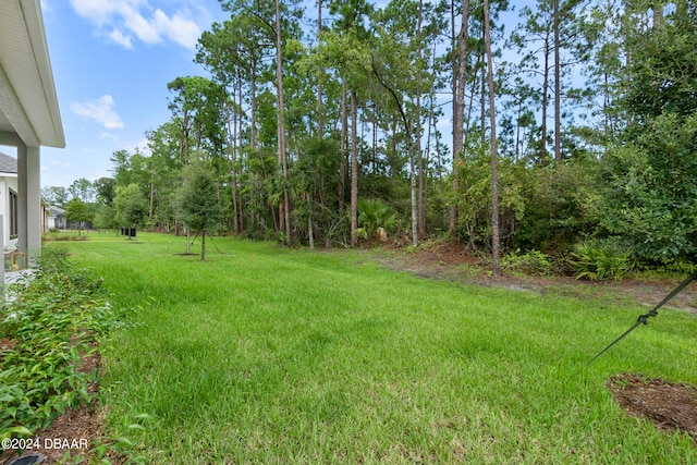 view of yard