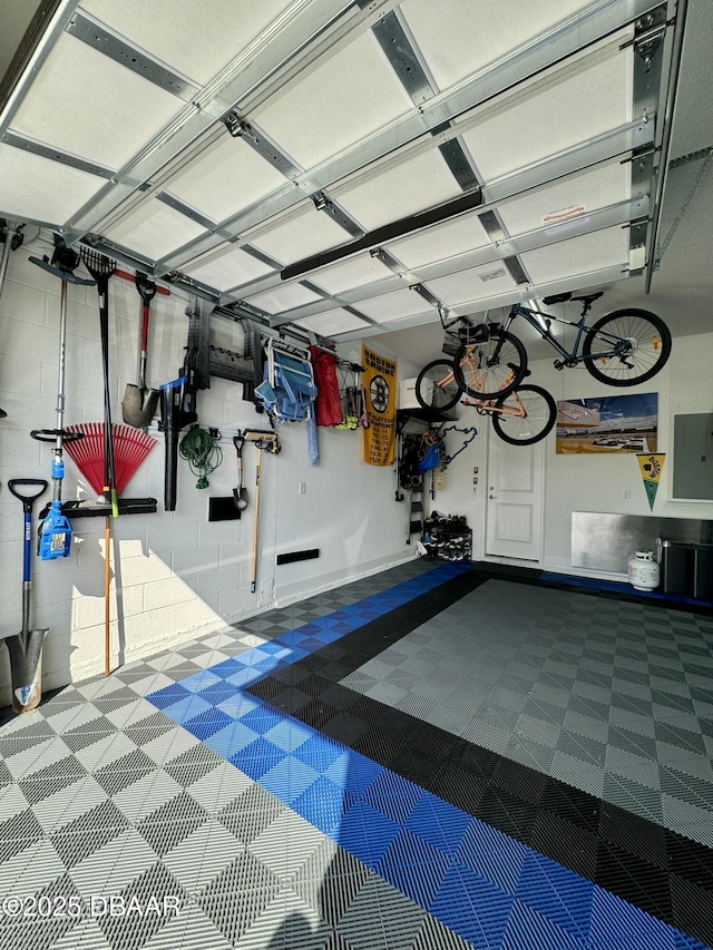 garage featuring electric panel