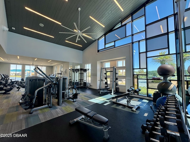exercise room featuring lofted ceiling and a healthy amount of sunlight