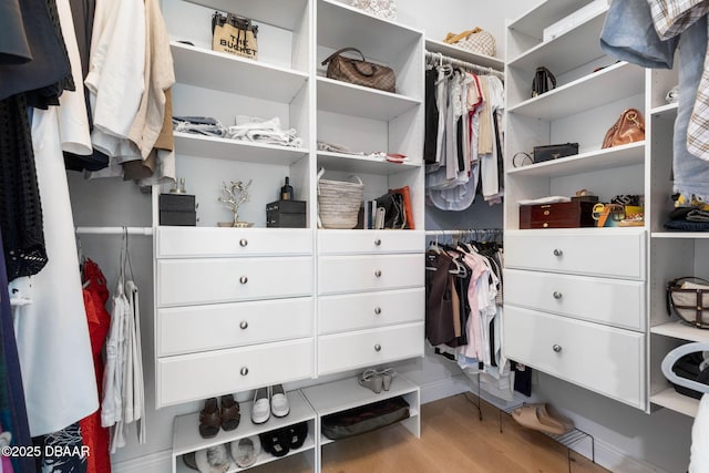 75 Trailmark Ct, Ormond Beach, FL 32174 - walk in closet featuring wood finished floors