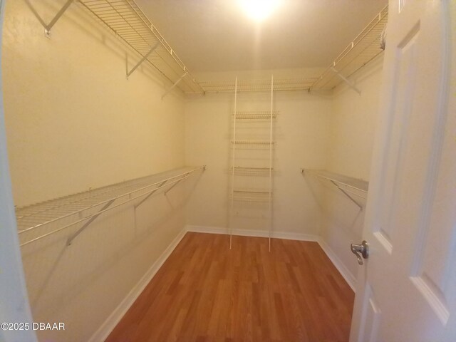 725 N Flamingo Dr, Holly Hill, FL 32117 - photo 14