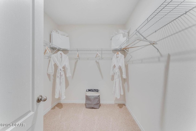 spacious closet featuring carpet