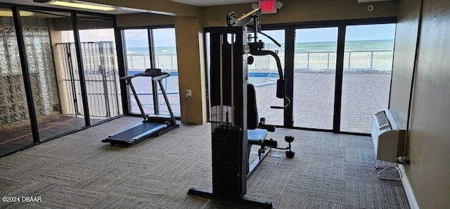 exercise room with a water view, carpet floors, and plenty of natural light