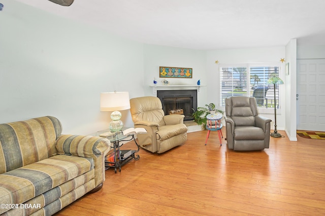 living room featuring light hardwood / wood-style floors