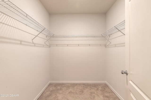 walk in closet featuring light carpet