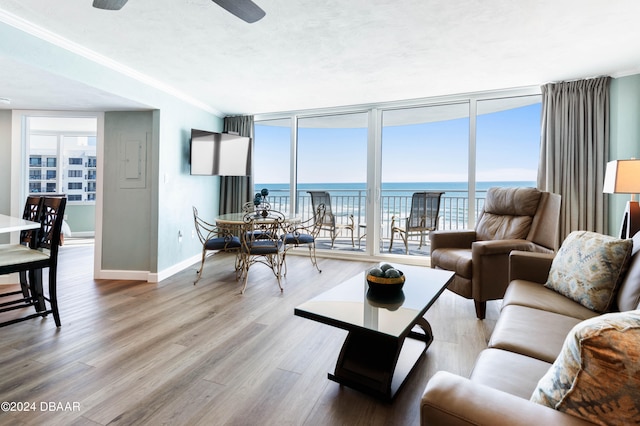 living room featuring light hardwood / wood-style floors, plenty of natural light, a water view, and crown molding