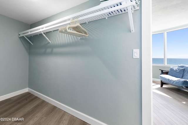 walk in closet featuring hardwood / wood-style floors