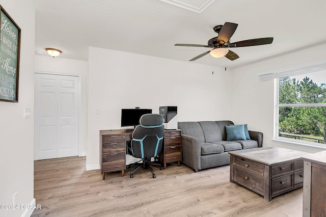 home office with ceiling fan, a textured ceiling, and light hardwood / wood-style floors