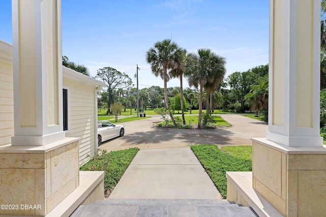 200 John Anderson Dr, Ormond Beach, FL 32176 - view of yard