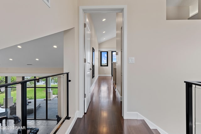 hallway featuring dark hardwood / wood-style floors, a healthy amount of sunlight, and vaulted ceiling