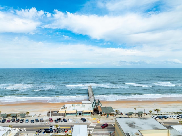 property view of water featuring a beach view