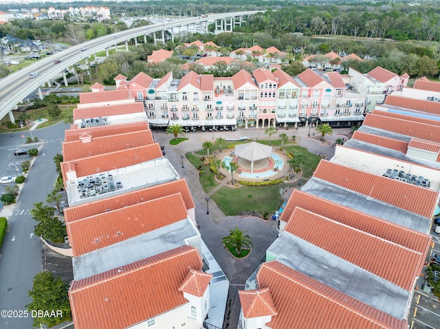 bird's eye view