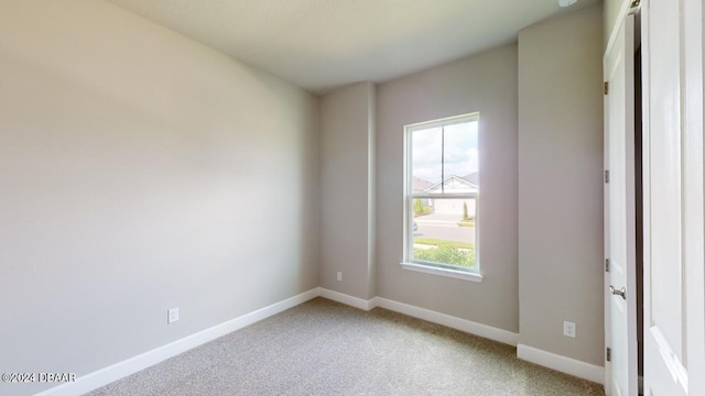 carpeted empty room featuring a wealth of natural light