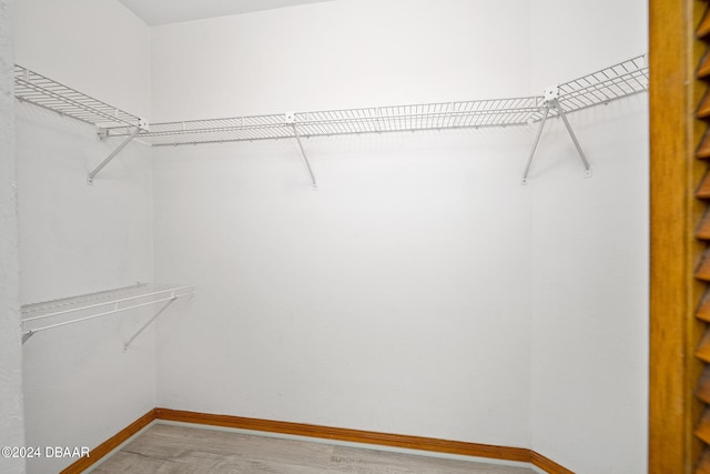 212 Glenbriar Cir, Daytona Beach, FL 32114 - walk in closet featuring light wood finished floors
