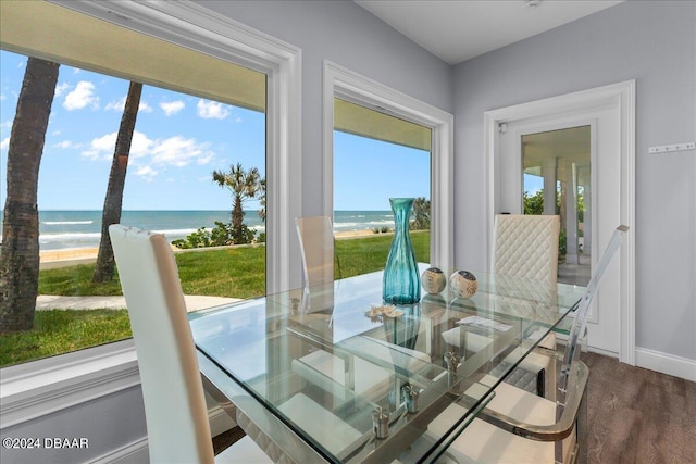 dining area with a view of the beach, a wealth of natural light, a water view, and wood-type flooring