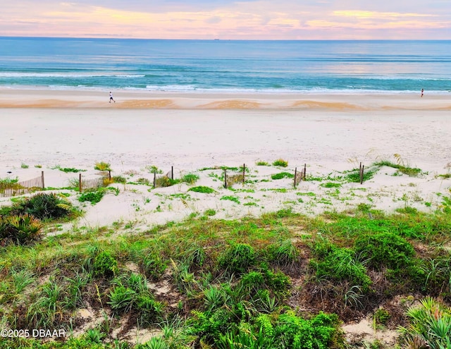 4795 S Atlantic Ave Unit 15, Ponce Inlet, FL 32127 - water view featuring nearby beach