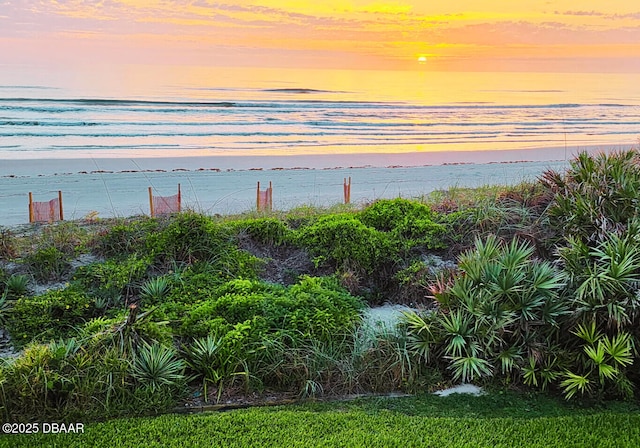 4795 S Atlantic Ave Unit 15, Ponce Inlet, FL 32127 - water view featuring local beach