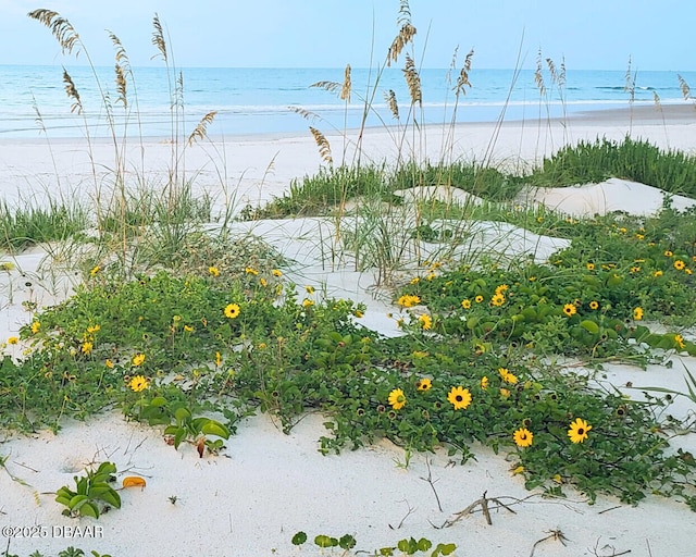 4795 S Atlantic Ave Unit 15, Ponce Inlet, FL 32127 - water view featuring local beach