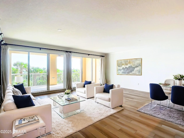 living room with a textured ceiling and wood finished floors