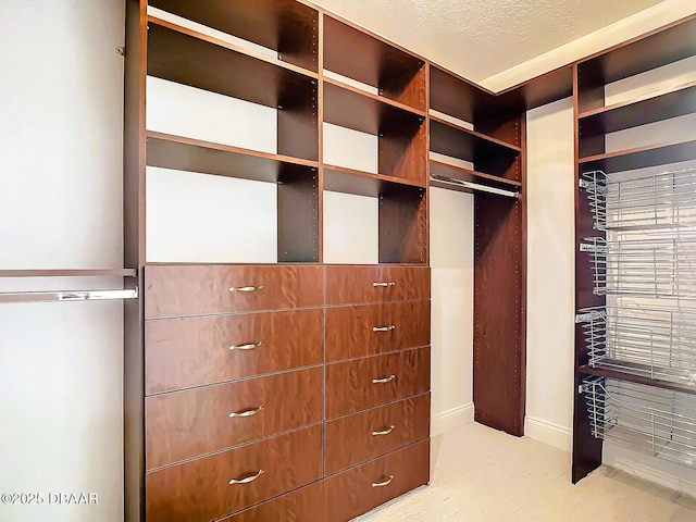 spacious closet with light carpet