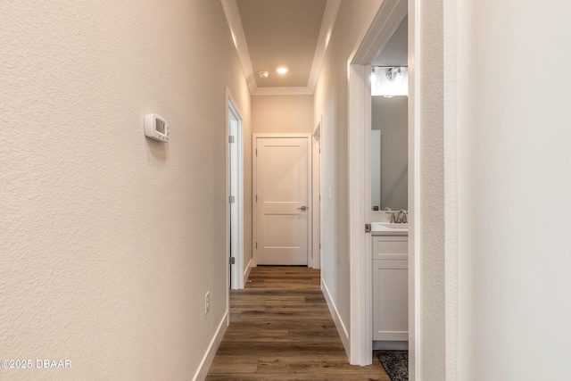 hallway with dark hardwood / wood-style flooring and ornamental molding