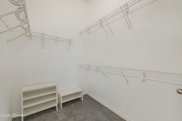 spacious closet featuring dark carpet