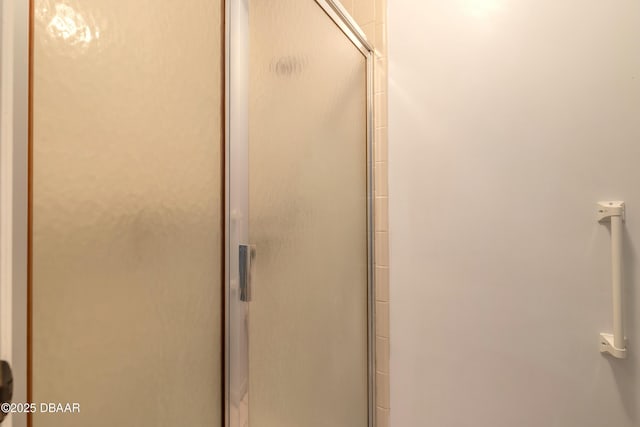 bathroom featuring a shower with door