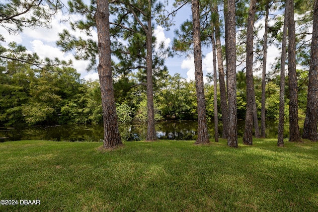 view of yard with a water view