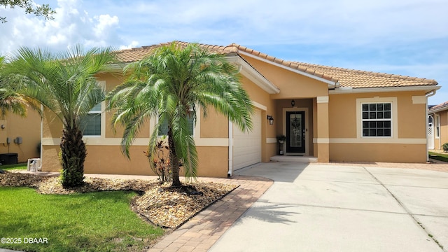 3361 Stefano St, New Smyrna Beach, FL 32168 - photo 40