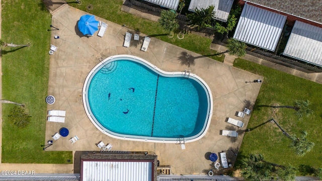 view of swimming pool featuring a patio area