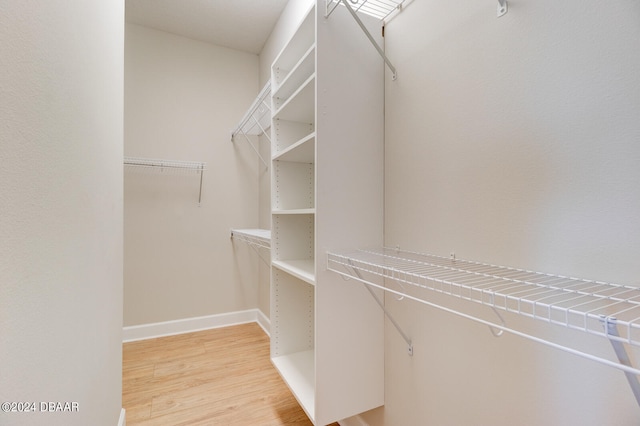 spacious closet featuring light hardwood / wood-style flooring