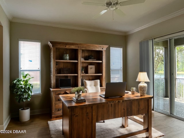 office featuring hardwood / wood-style flooring, ceiling fan, and crown molding