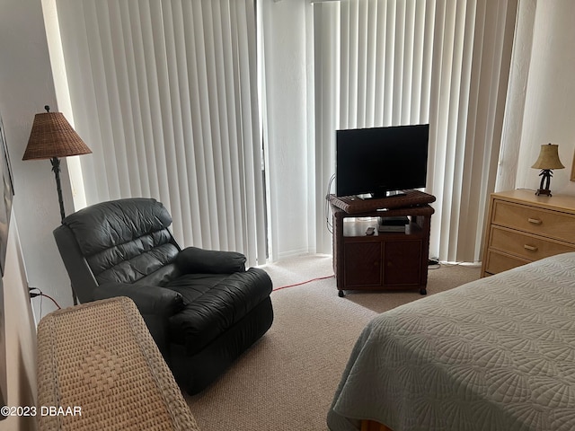 bedroom with light colored carpet