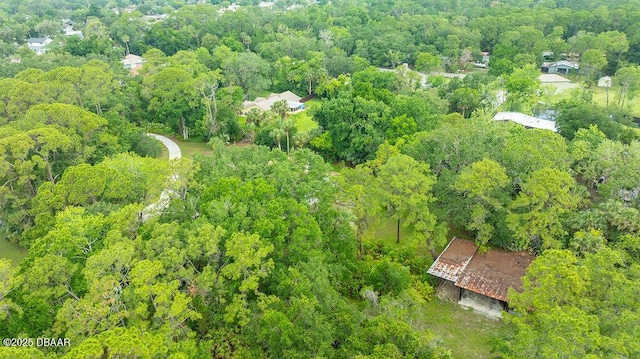 5943 Trailwood Dr, Port Orange, FL 32127 - photo 28