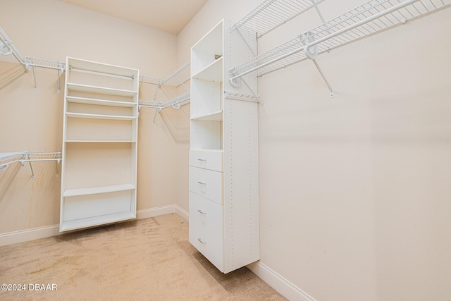 540 Leeway Trl, Ormond Beach, FL 32174 - walk in closet with light carpet