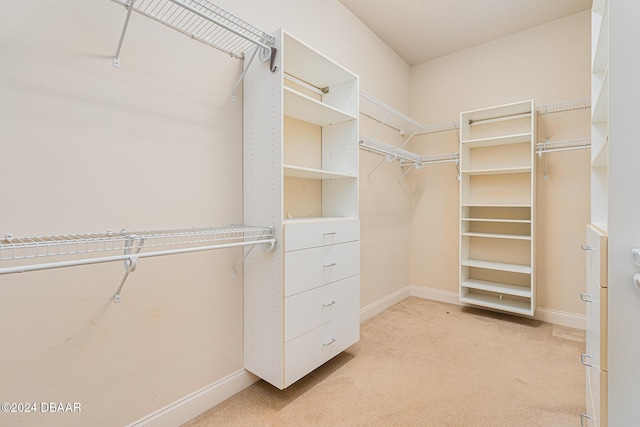 540 Leeway Trl, Ormond Beach, FL 32174 - walk in closet featuring light colored carpet