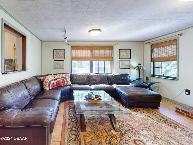 tiled living room featuring a healthy amount of sunlight