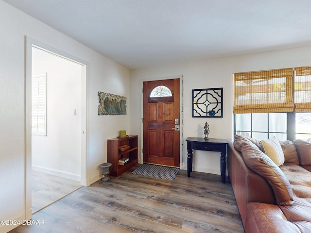 foyer entrance with wood-type flooring