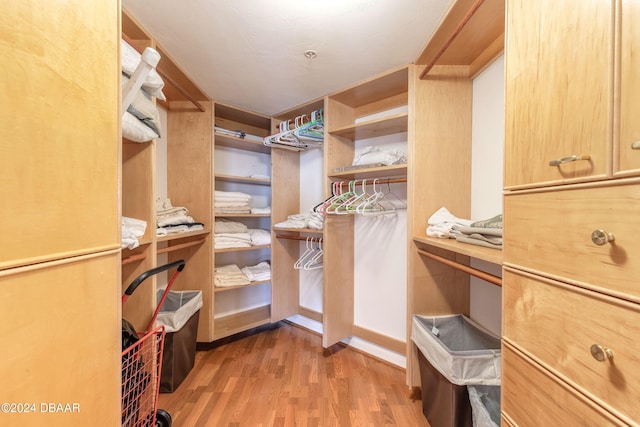 walk in closet featuring light hardwood / wood-style floors