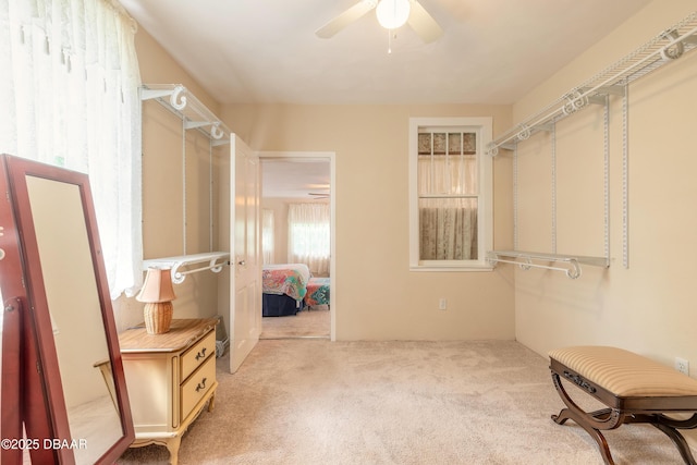 spacious closet with light carpet and a ceiling fan