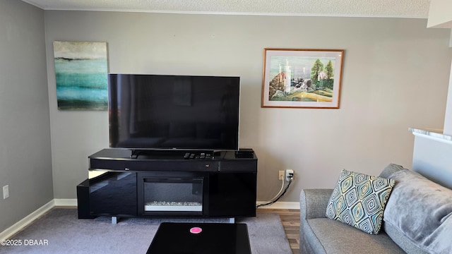 living area with ornamental molding, a textured ceiling, wood finished floors, and baseboards