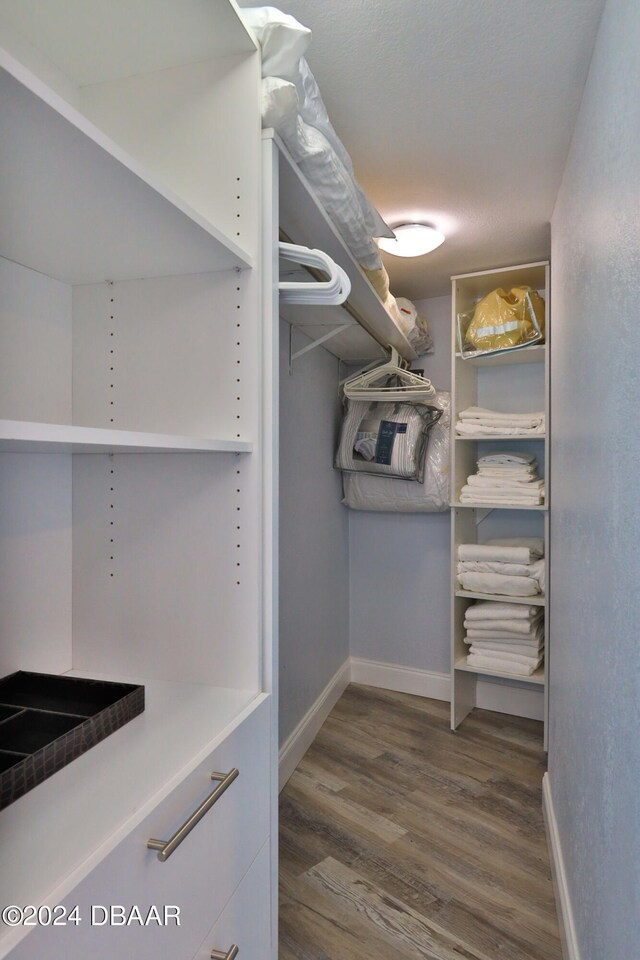 spacious closet featuring wood-type flooring