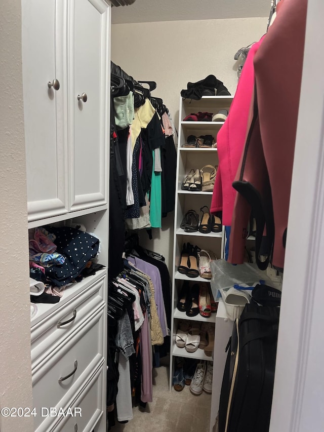 walk in closet featuring carpet