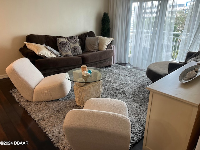 living room with hardwood / wood-style flooring