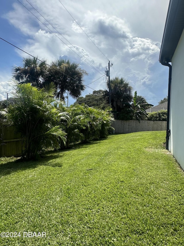 142 Sandpiper Ridge Dr, Ormond Beach, FL 32176 - view of yard