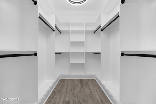 142 Sandpiper Ridge Dr, Ormond Beach, FL 32176 - spacious closet with wood finished floors