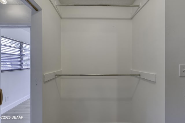 walk in closet with wood finished floors