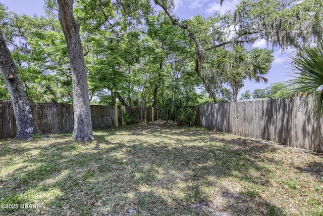 view of yard featuring a fenced backyard